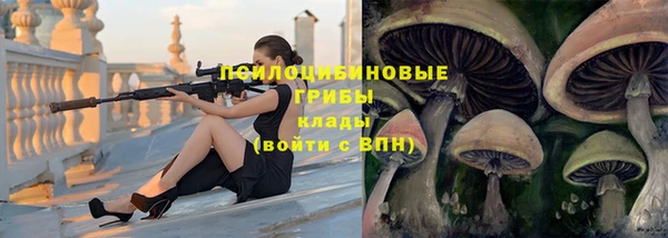экстази Михайлов