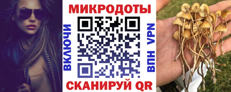 Псилоцибиновые грибы прущие грибы  купить наркотик  Касли 